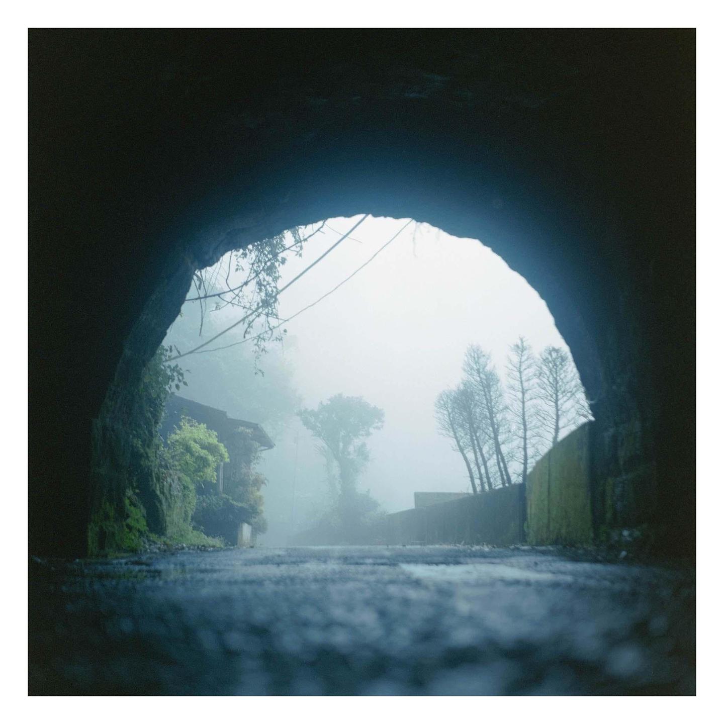 A misty road emerges from a dark tunnel, with trees and buildings visible through the fog.