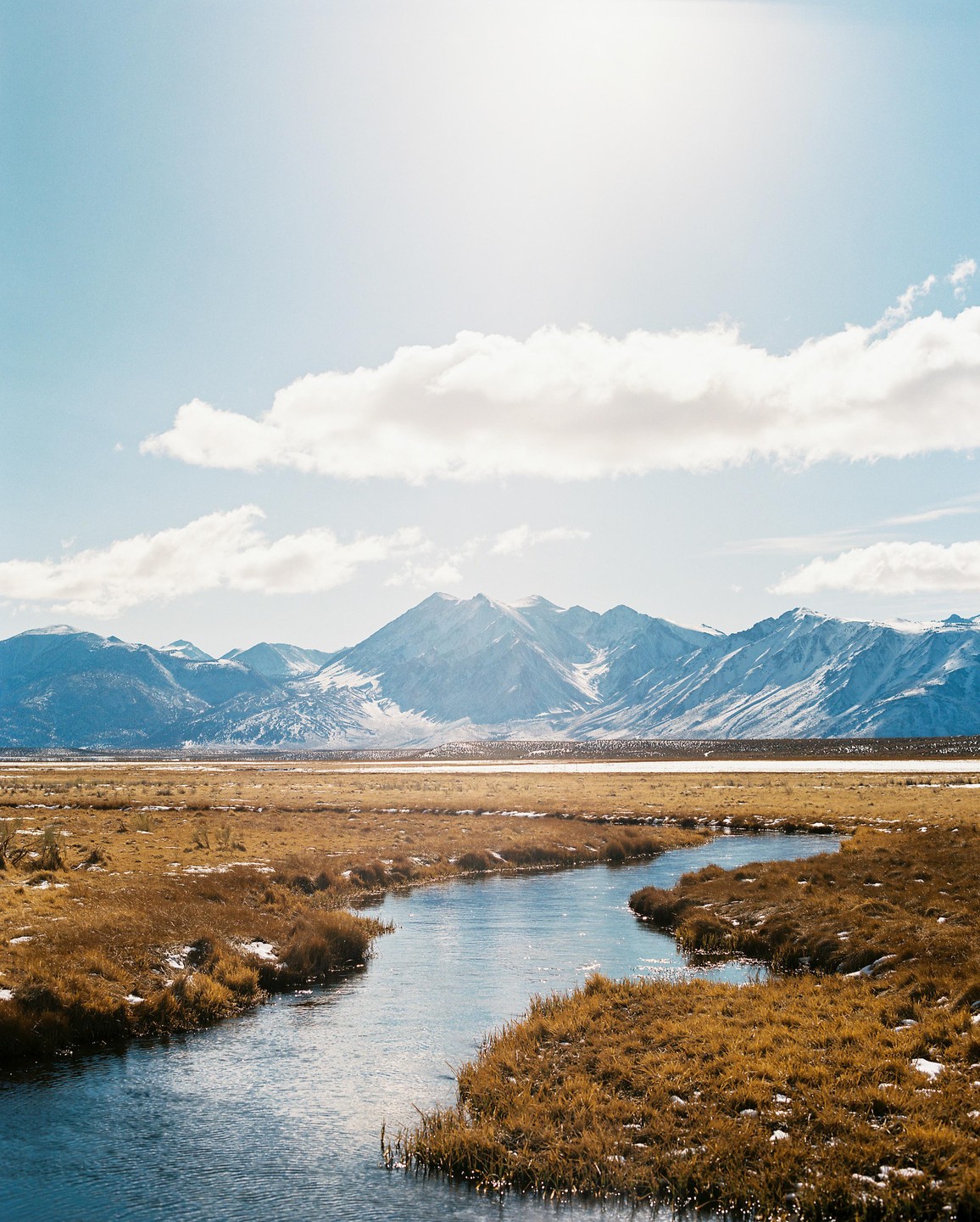 A river flows through a golden field towards snow-capped mountains under a bright sky with clouds.