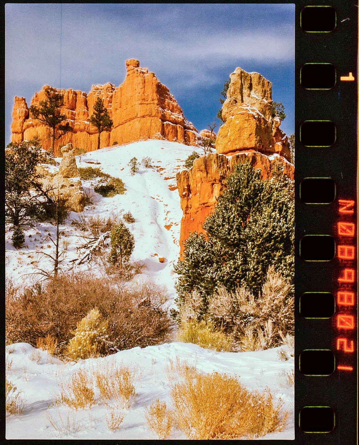 Red rock formations are covered in snow with evergreen trees and brush in the foreground.