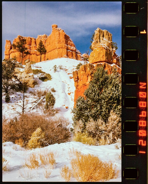 Red rock formations are covered in snow with evergreen trees and brush in the foreground.