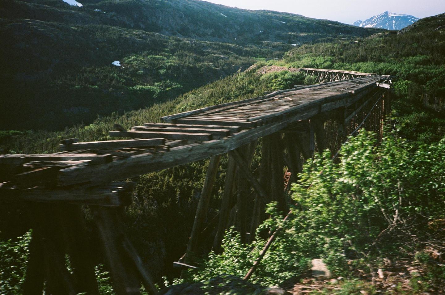 A long, dilapidated wooden trestle bridge spans a valley covered in green trees and bushes, with mountains in the background.