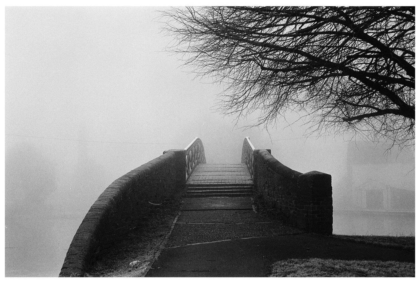 A stone bridge with wooden steps leads into a thick fog, with the bare branches of a tree overhead.