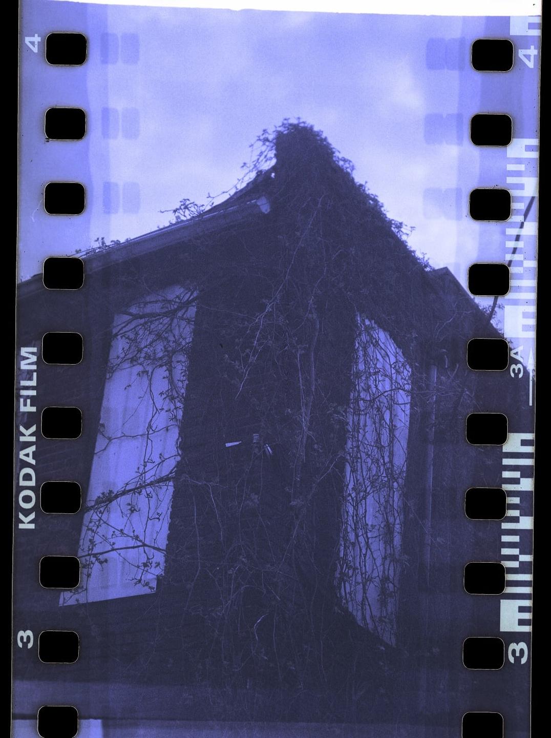 A building covered in vines is visible through a purple filter with film borders.