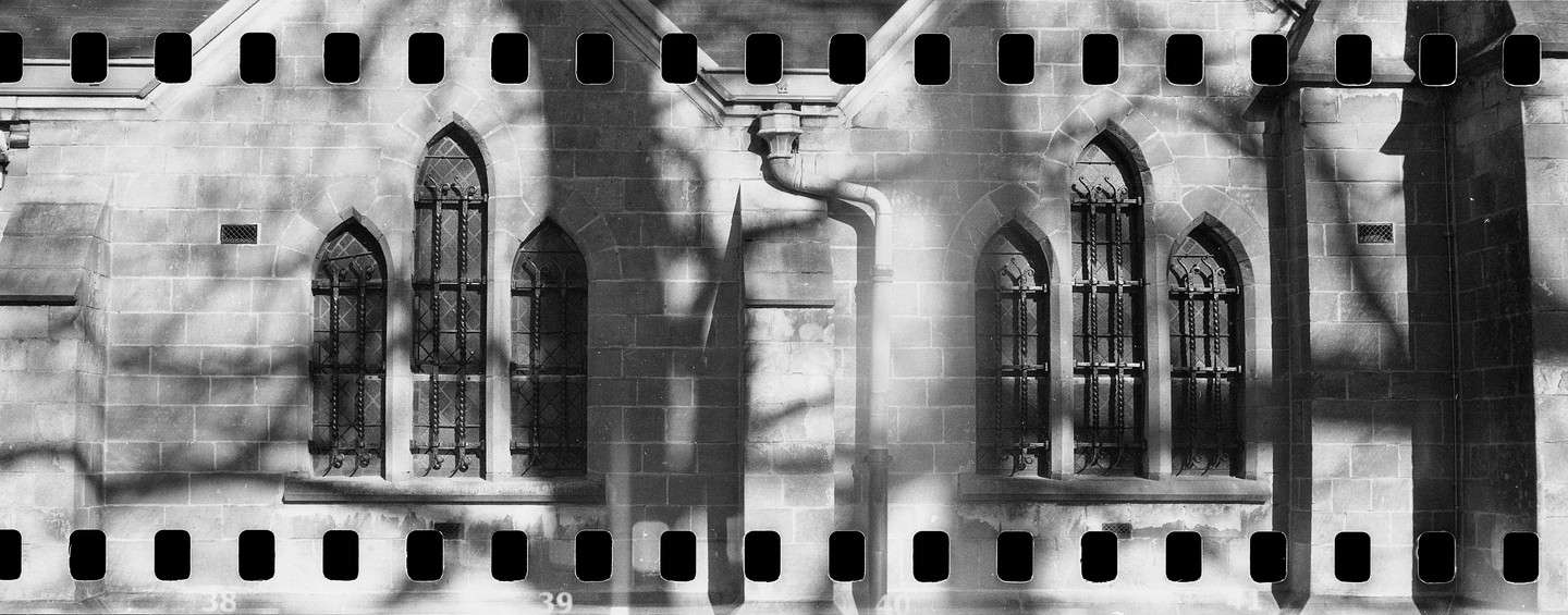 Sunlight casts shadows of tree branches and architectural elements on the stone wall of a building with arched windows.