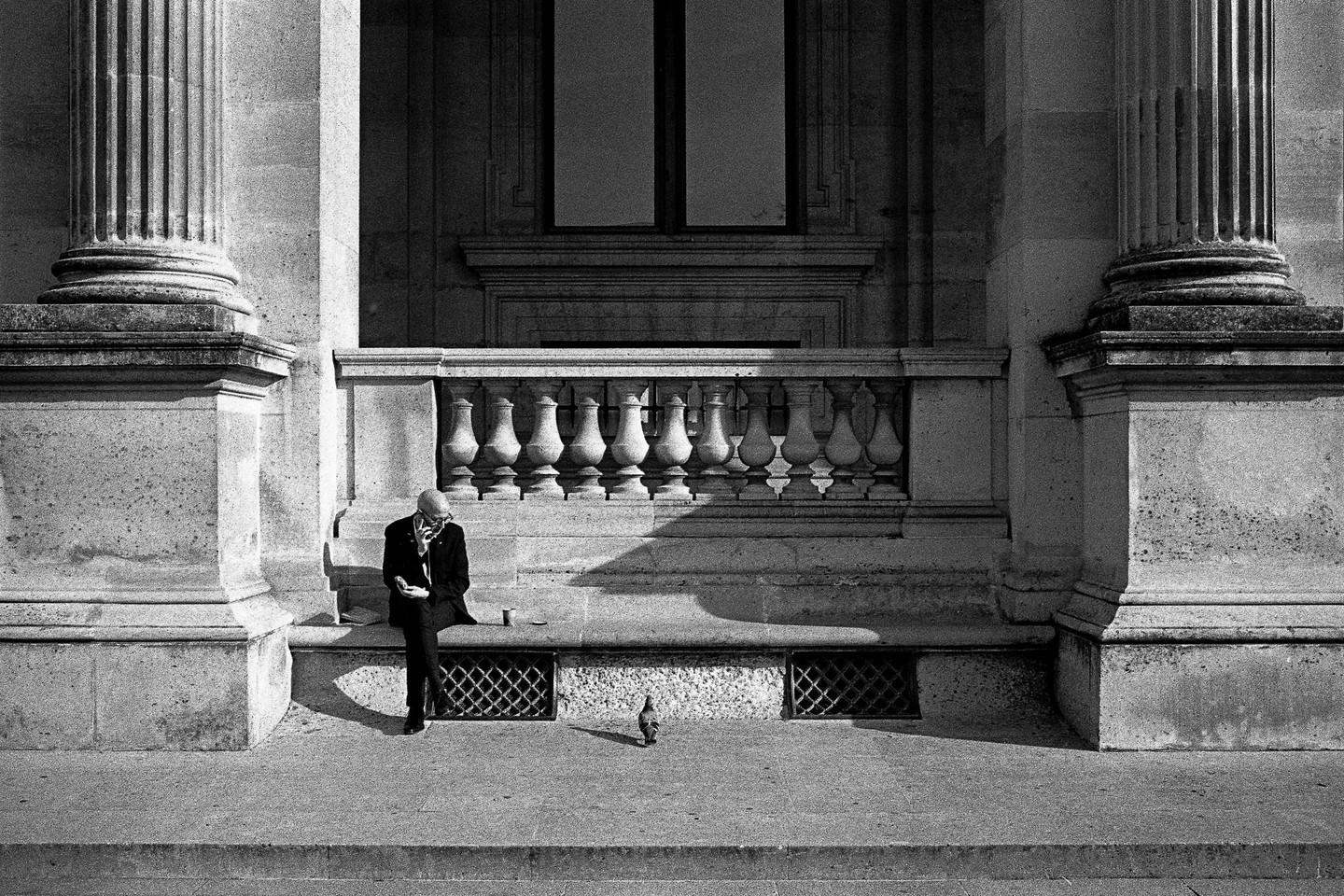 A man sits on a stone ledge next to a pigeon, with large columns and a balustrade behind him.