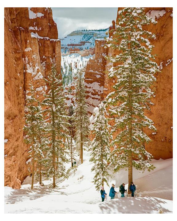 Four people stand in a snowy canyon surrounded by pine trees and red rock formations.