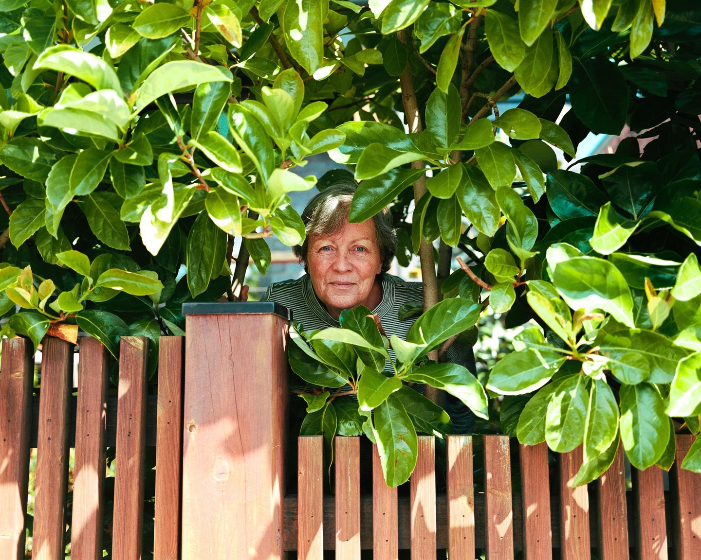A woman peeks over a wooden fence through green foliage.