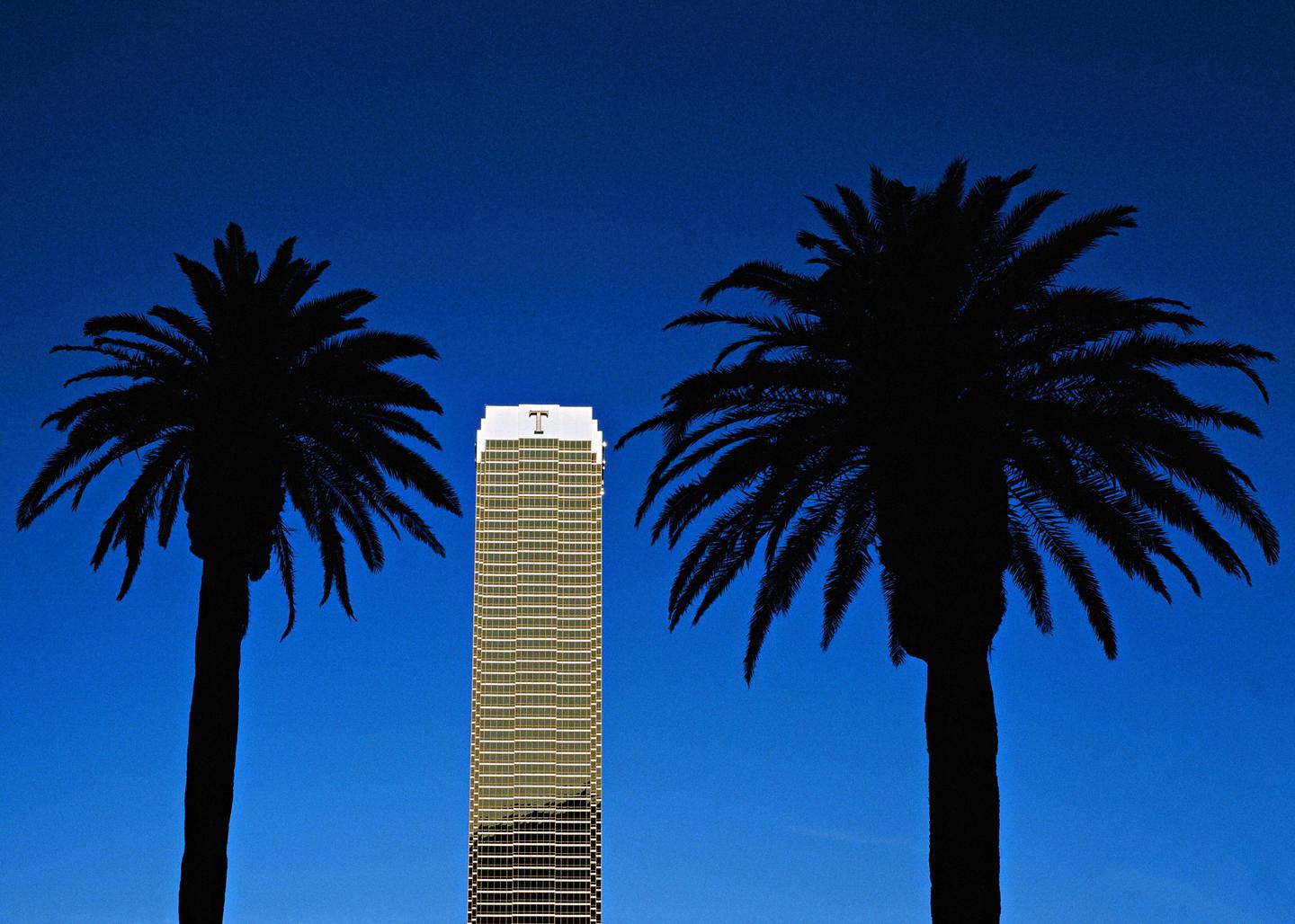 Two silhouetted palm trees frame a tall building against a deep blue sky.