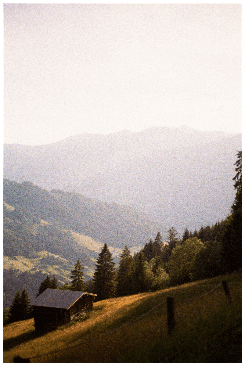 A small wooden cabin sits on a grassy hillside with a forest and hazy mountains in the background.