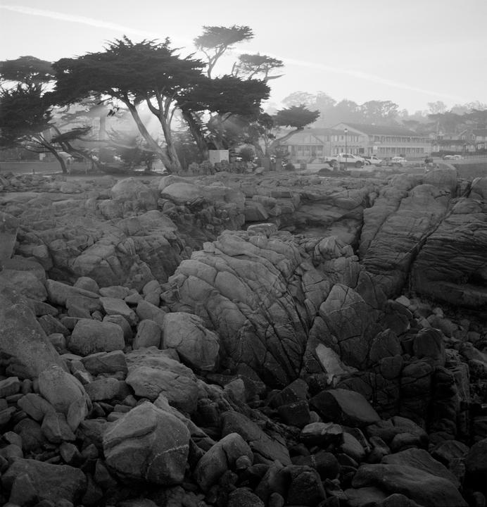 A rocky coastline with cypress trees and buildings in the background is visible under a hazy sky.