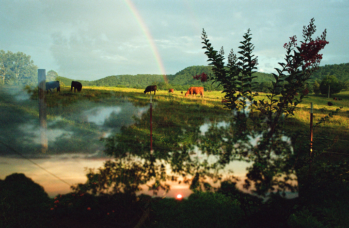A rainbow arches over a green pasture with grazing cattle and rolling hills under a cloudy sky, with a blurred reflection of a sunset in the foreground.