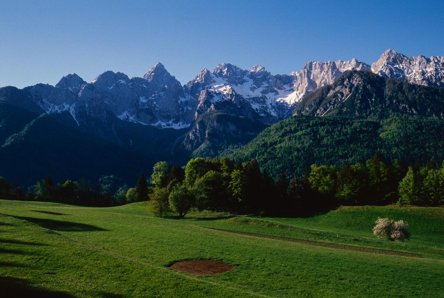 A green meadow with trees and a dirt path leads to a forest at the base of snow-capped mountains under a clear sky.