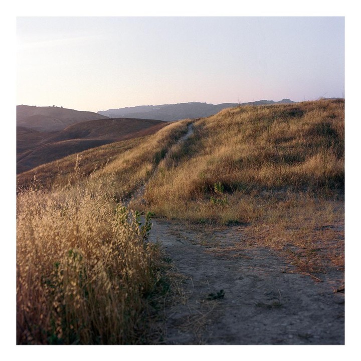 A dirt path winds through a field of dry grass on a hillside at dusk.