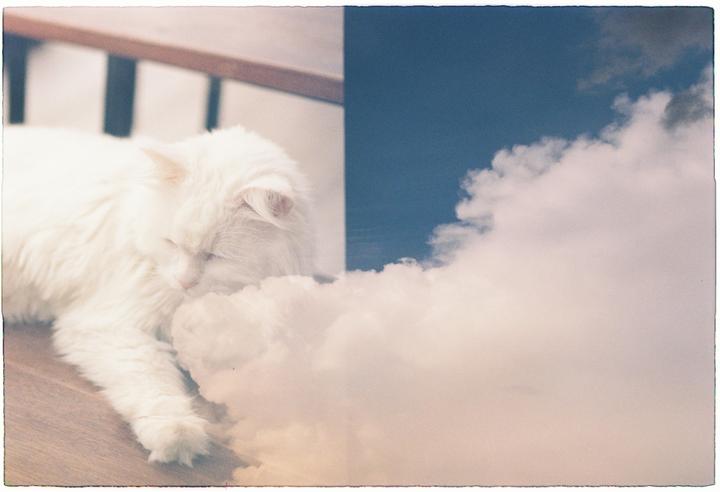 A white cat is sleeping next to a cloud in a double exposure image.
