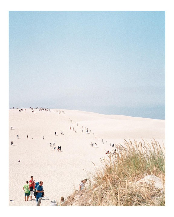 Many people walk on a large sand dune with some dry grass in the foreground.