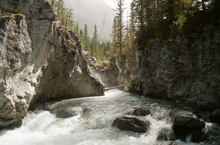 A river flows through a rocky canyon with pine trees on the cliffs.