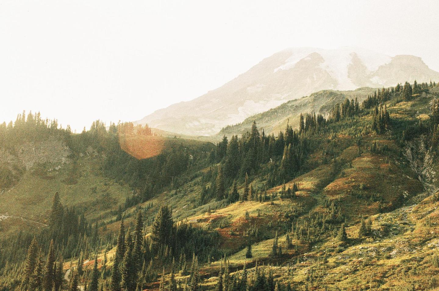 A mountain with a snow-capped peak rises above a valley filled with evergreen trees and grassy slopes.
