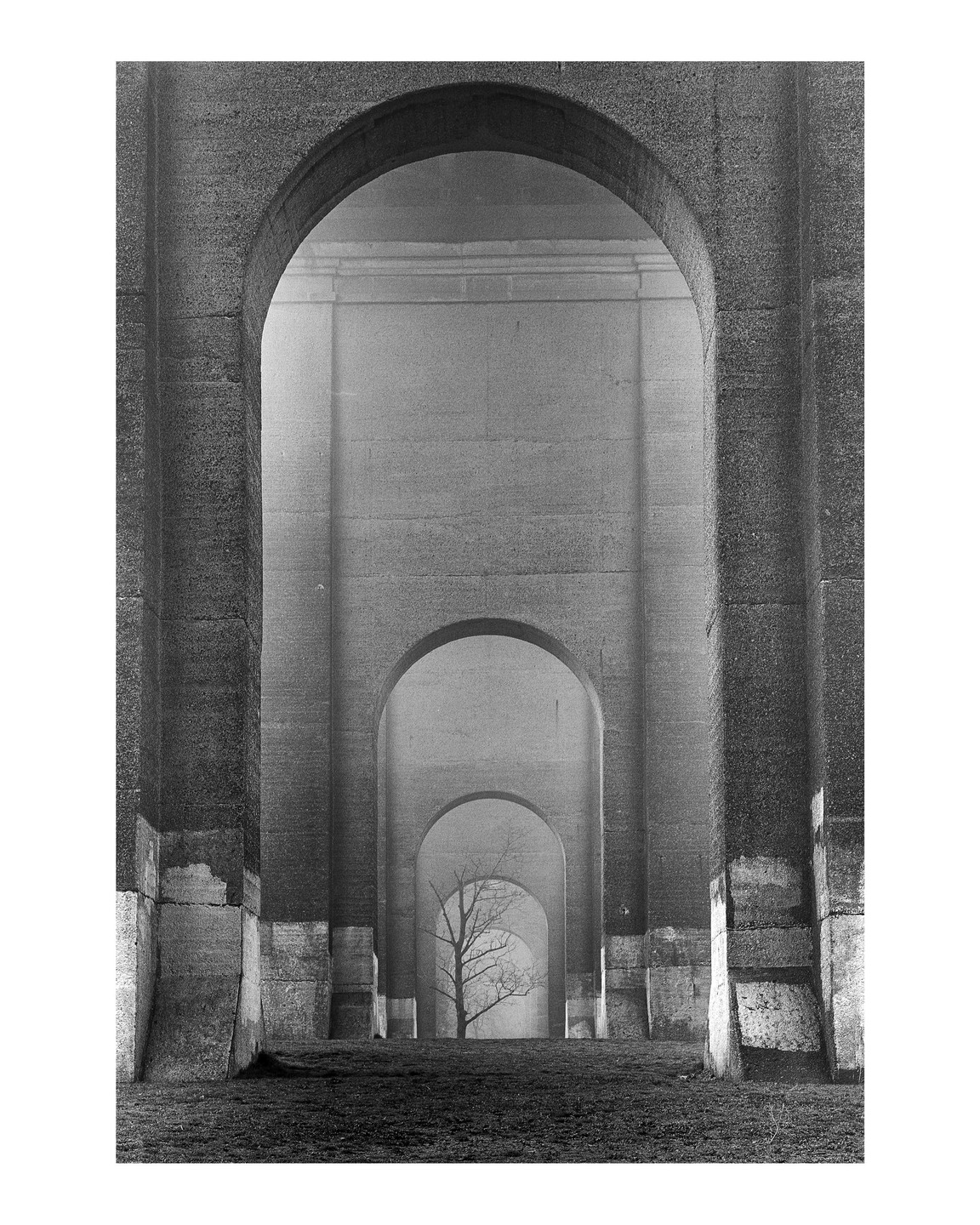 A lone, bare tree stands at the end of a long tunnel of receding arches.