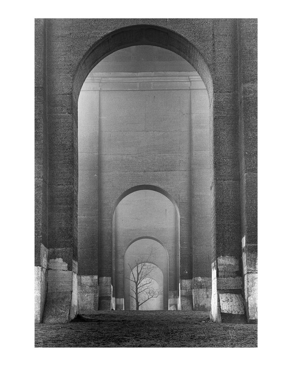 A lone, bare tree stands at the end of a long tunnel of receding arches.