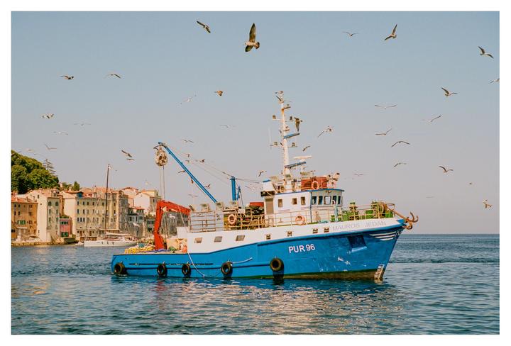 A blue and white fishing boat floats on the water with a town and many birds in the background.