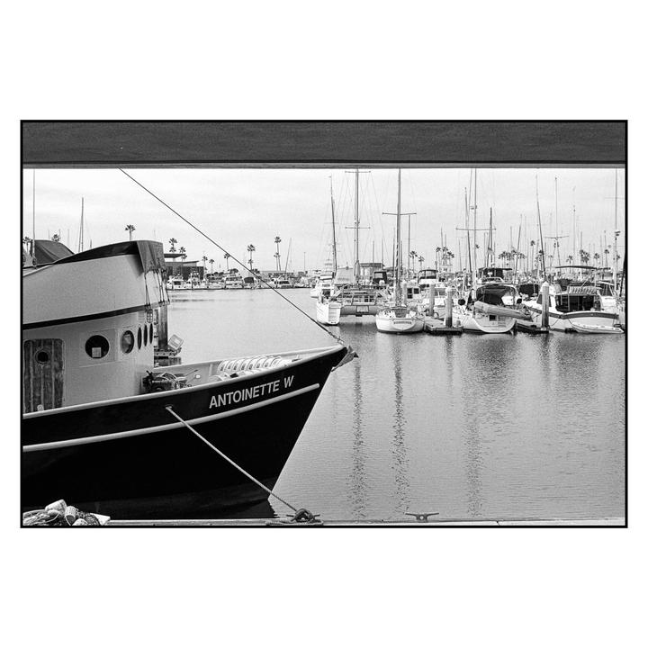 A boat named Antoinette W is docked in a harbor with many other boats and palm trees in the background.