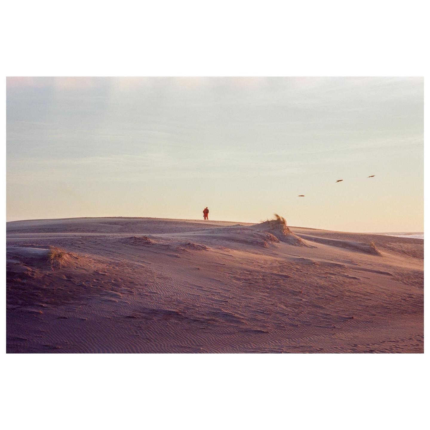 A person stands on a sand dune with birds flying in the distance.