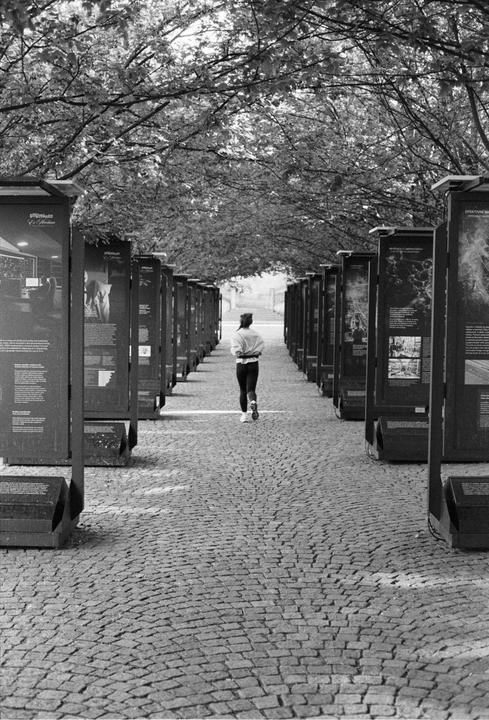 A woman walks away down a cobblestone path lined with information boards and trees.