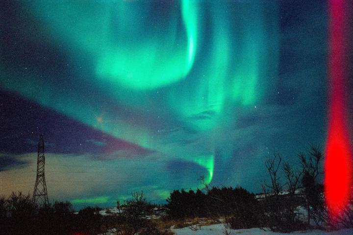 The northern lights glow green in the night sky above a snowy landscape with a power line tower and trees.