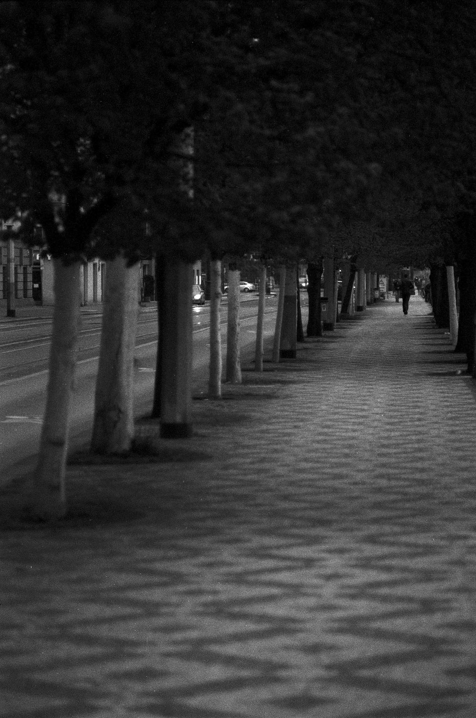 A person walks down a tree-lined street with patterned shadows on the sidewalk.