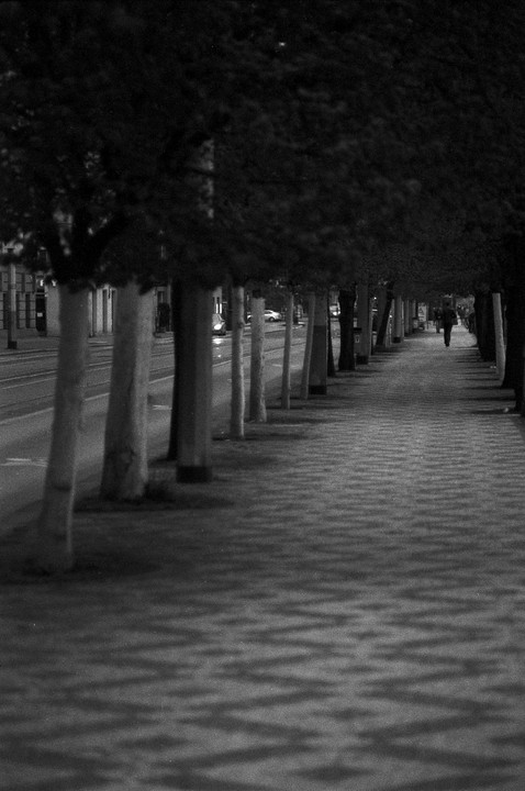 A person walks down a tree-lined street with patterned shadows on the sidewalk.