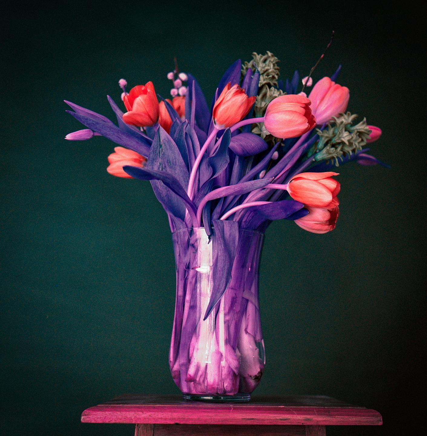 A bouquet of pink tulips with purple leaves is arranged in a clear vase on a wooden surface.