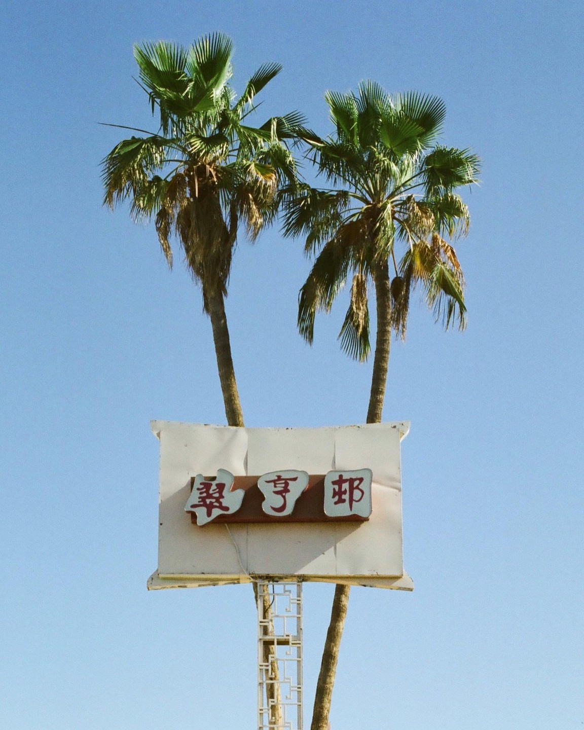 A white billboard with red Chinese characters is visible between two palm trees against a clear blue sky.