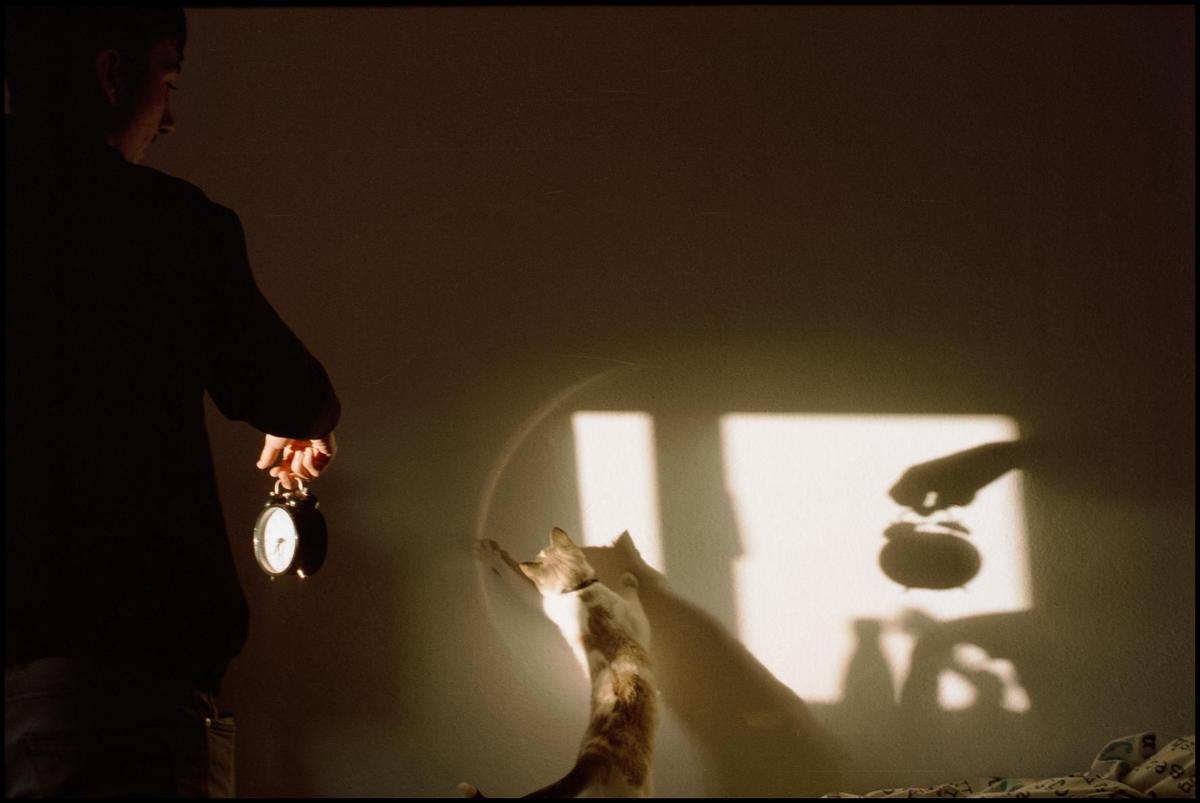 A man holds an alarm clock while a cat plays with the shadow of the clock on a wall.