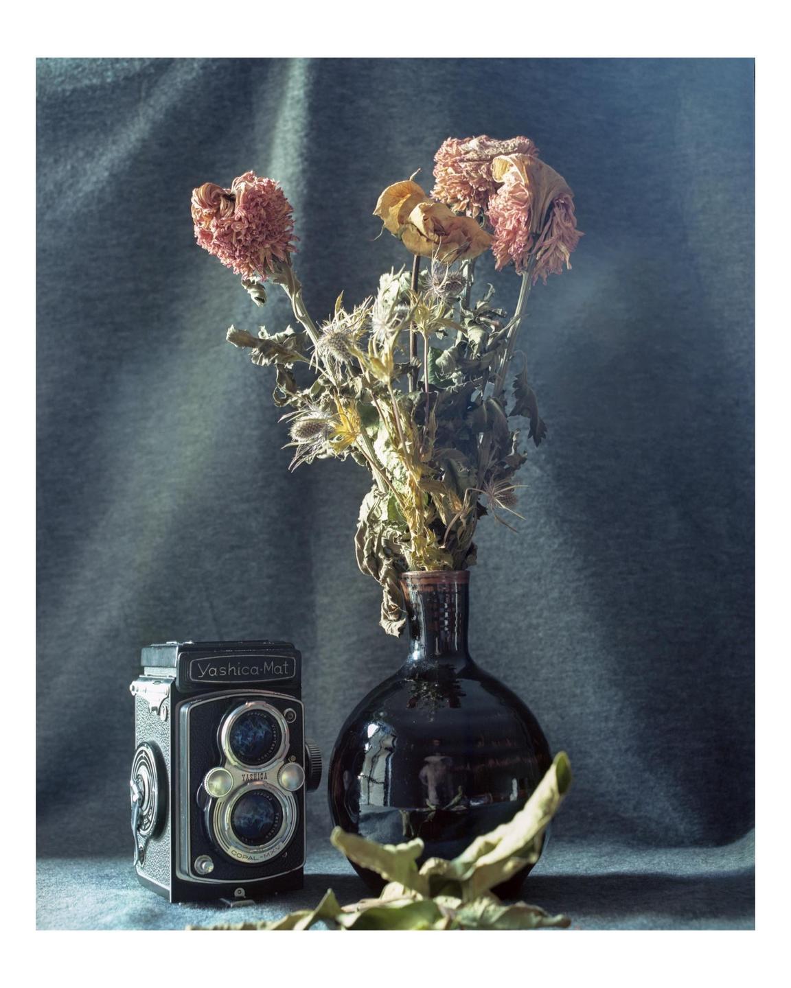 A vintage camera sits next to a vase of dried flowers on a draped surface.
