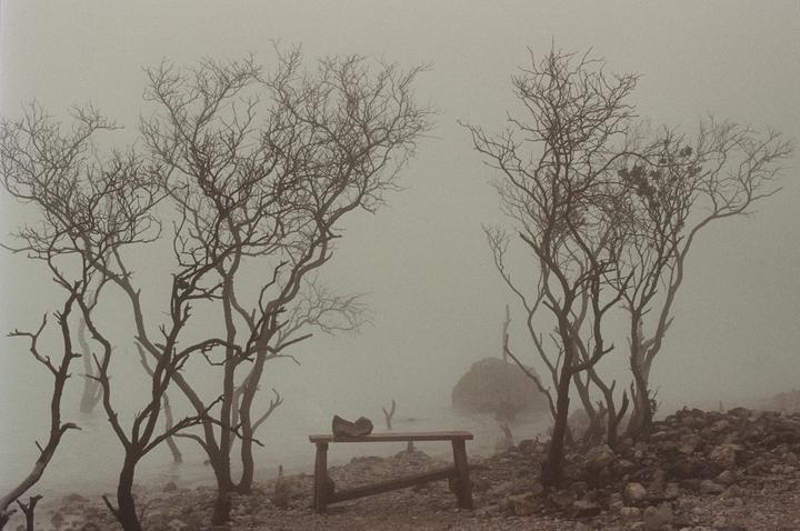 A wooden bench sits among several bare trees on a rocky, hazy landscape.
