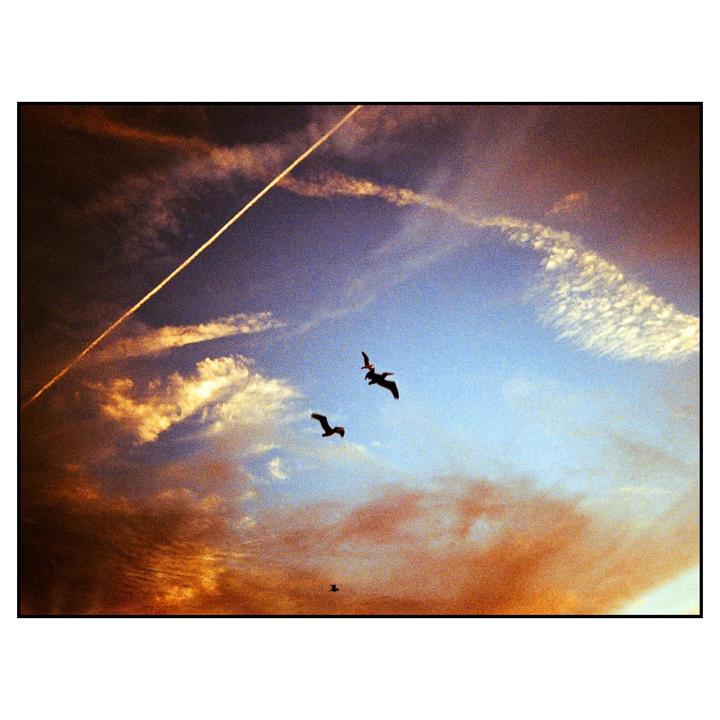 Three birds fly across a sky filled with clouds and a contrail.