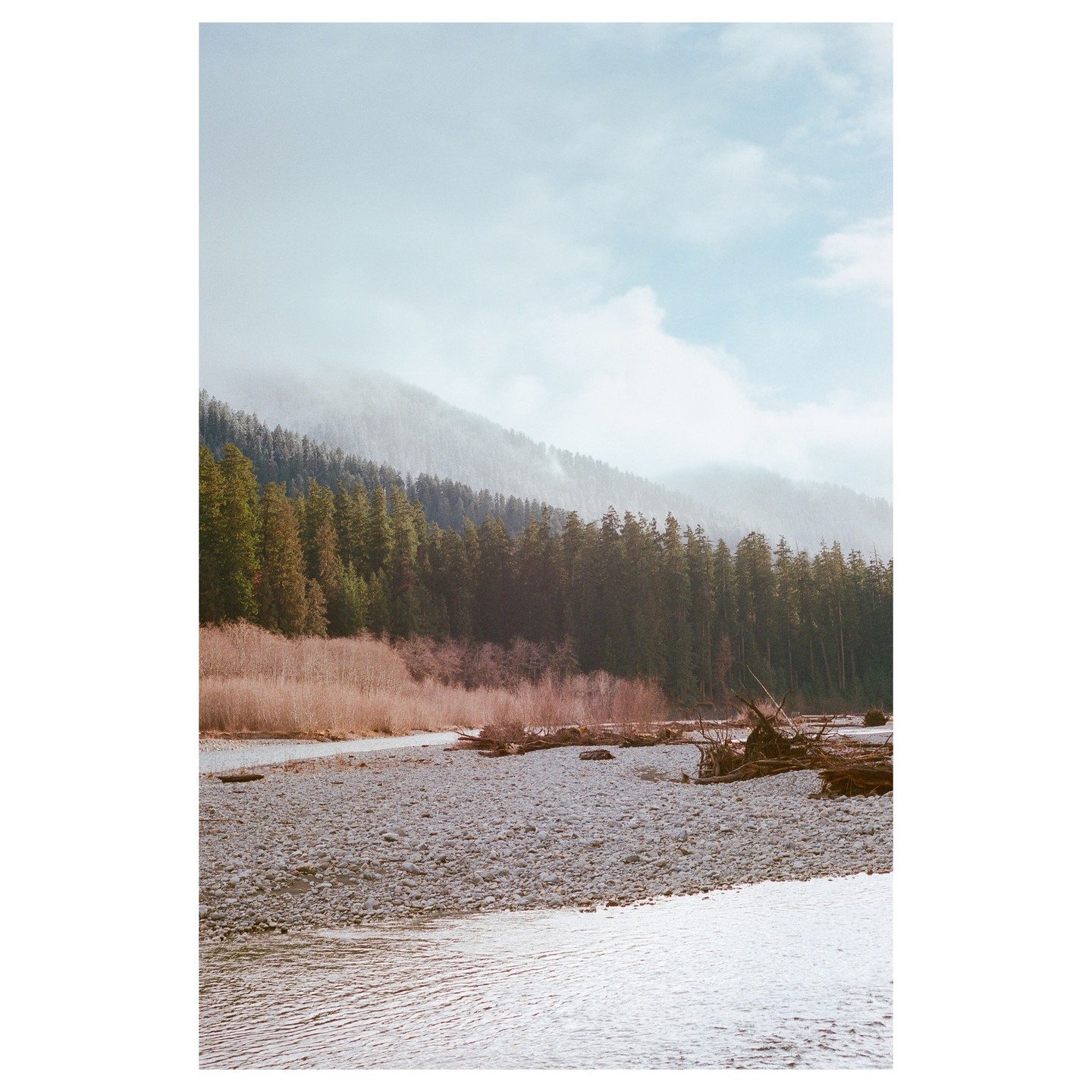 A river with a rocky bank flows past a forest and a hazy mountain.