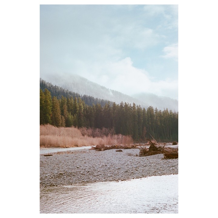 A river with a rocky bank flows past a forest and a hazy mountain.