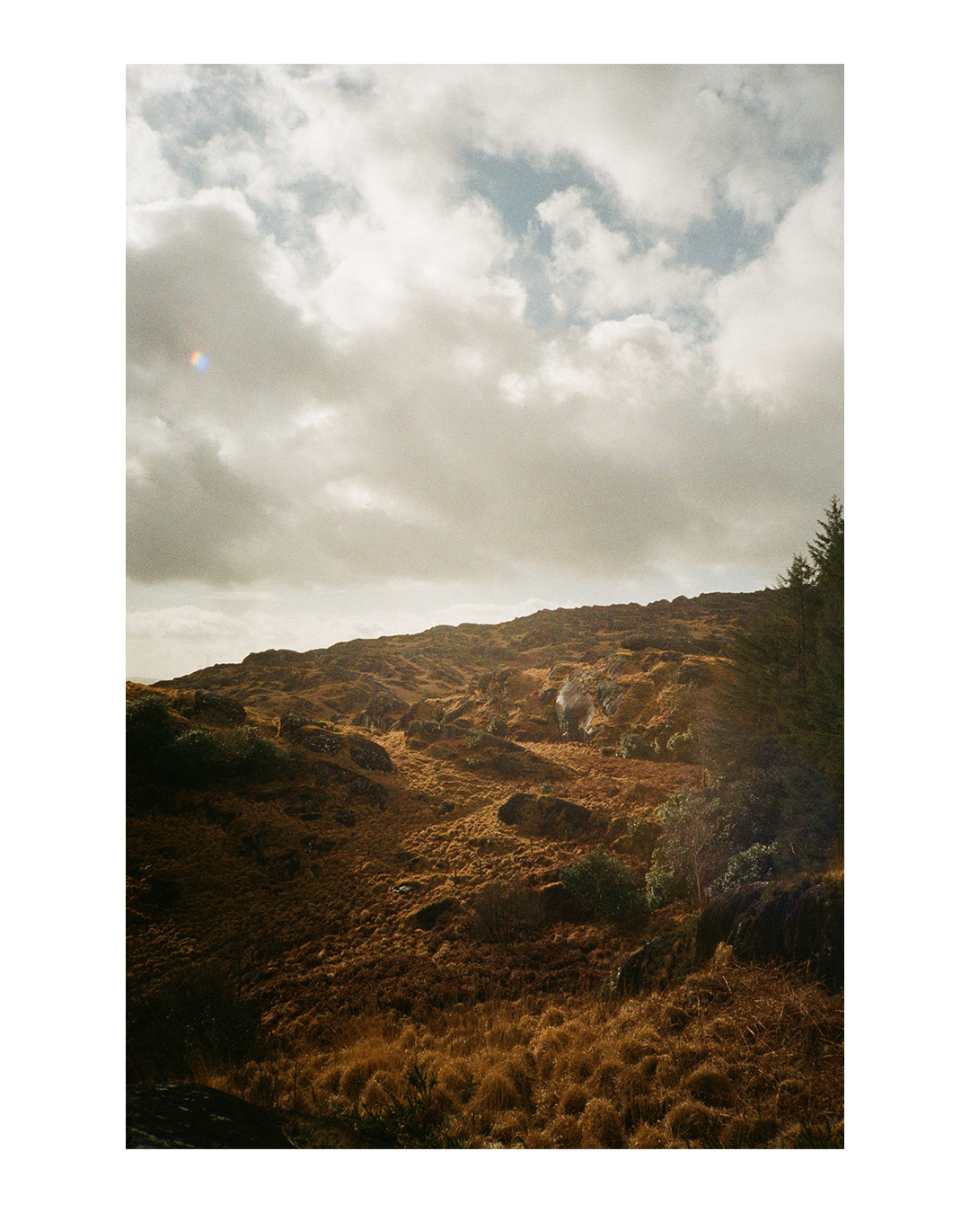 A hillside covered in brown grass and rocks is visible under a cloudy sky.