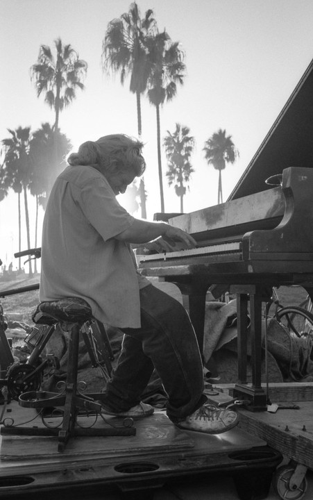 A man with long hair plays a piano outdoors with palm trees in the background.