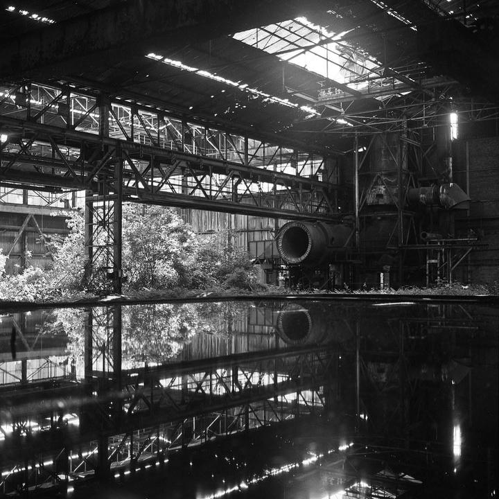An abandoned industrial building with trees growing inside is reflected in a pool of water on the floor.