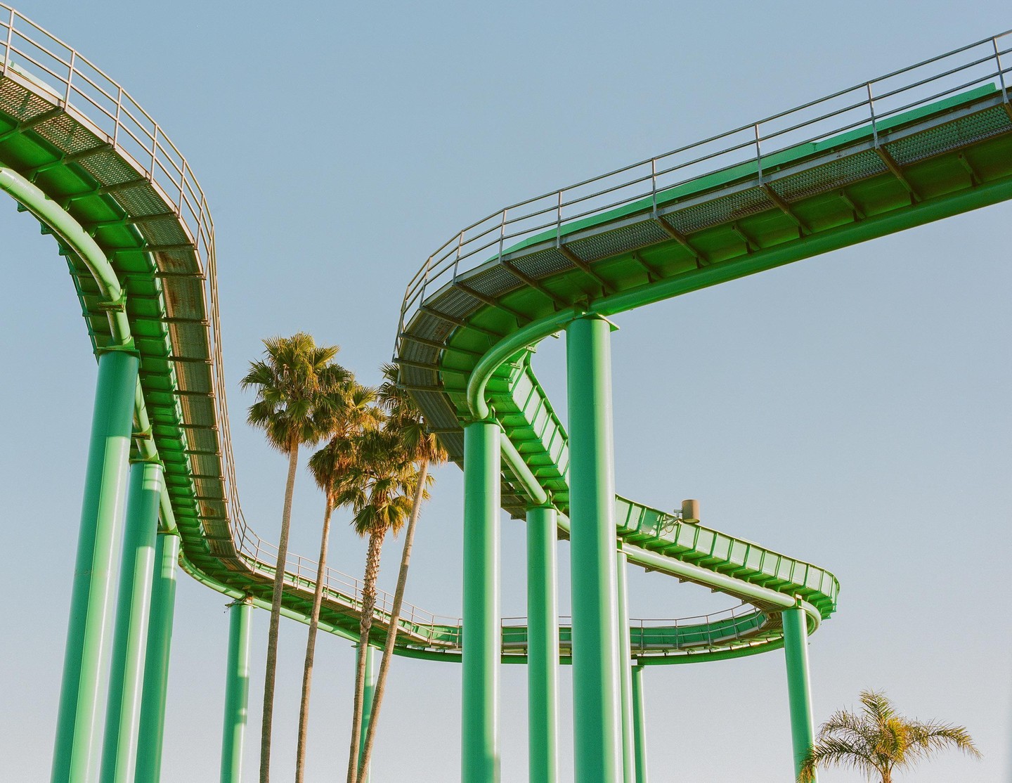 A green roller coaster track curves through the sky with palm trees visible beneath it.
