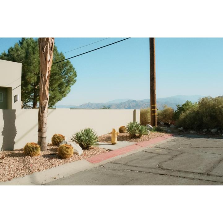 A street corner with desert plants and a fire hydrant is visible with mountains in the distance.