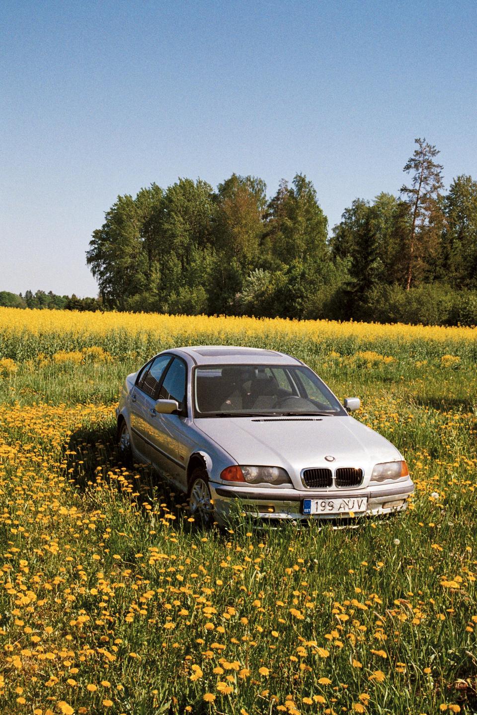 A silver car is parked in a field of yellow flowers with a forest in the background under a clear sky.