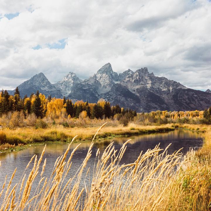 A river flows through a field of tall grass with mountains and autumn trees in the background under a cloudy sky.