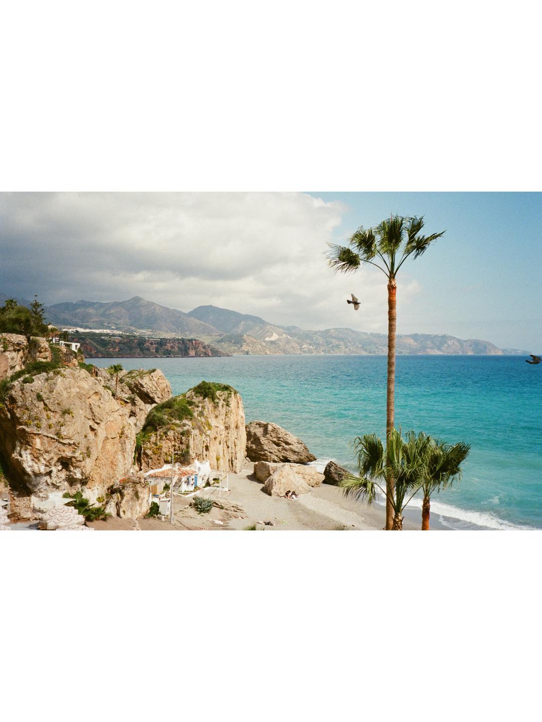 A bird flies over a beach with palm trees, rocky cliffs, and mountains in the background.