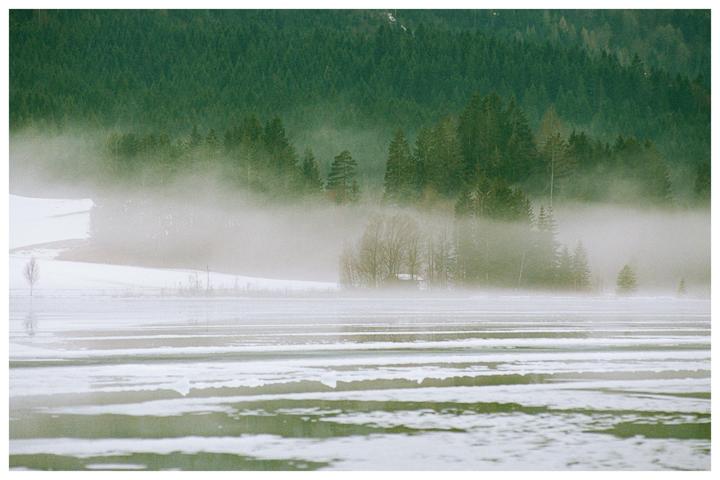 A frozen lake with fog rolling over a forest in the background.