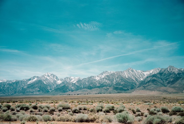 A vast plain with low bushes stretches before a range of snow-capped mountains under a bright blue sky.