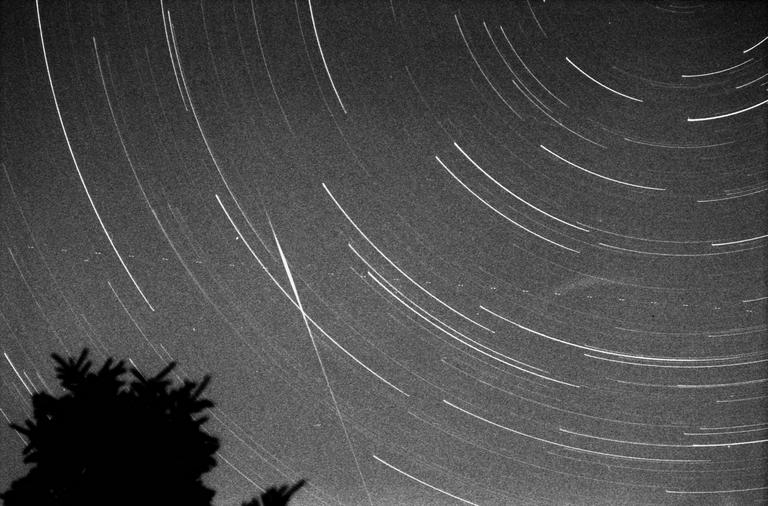 A dark sky is filled with star trails and the silhouette of a tree.