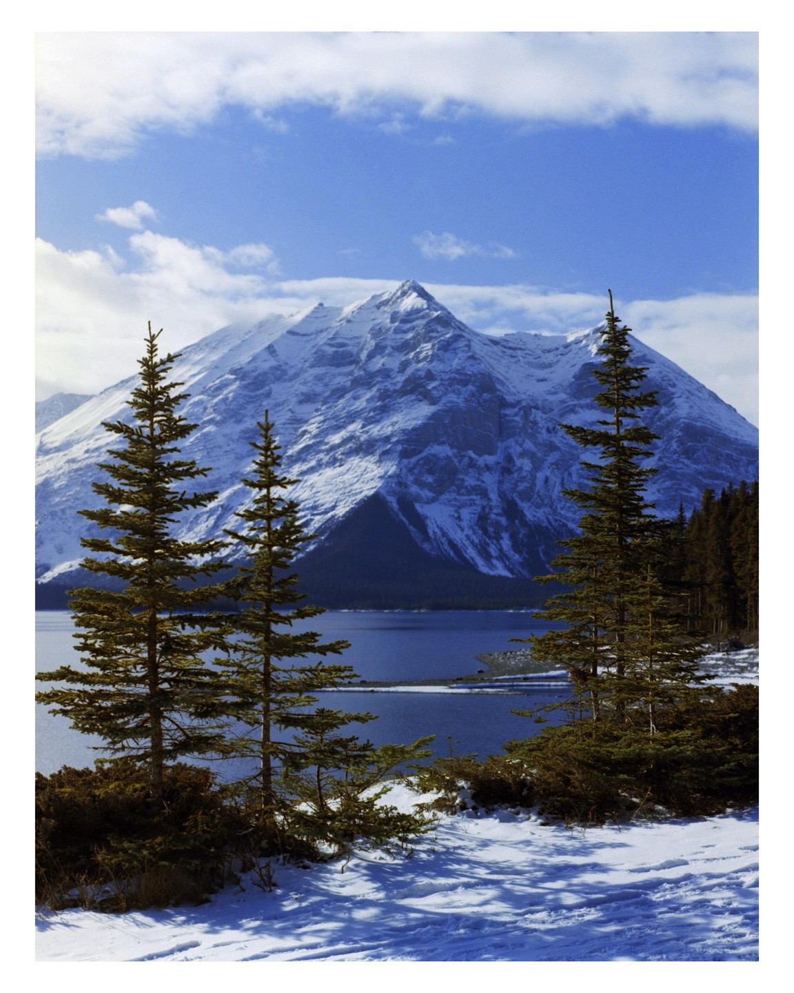 Snow-covered mountains rise above a lake with pine trees in the foreground.